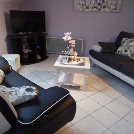 La Belle Endormie - Appartement A Fenetrange Dış mekan fotoğraf