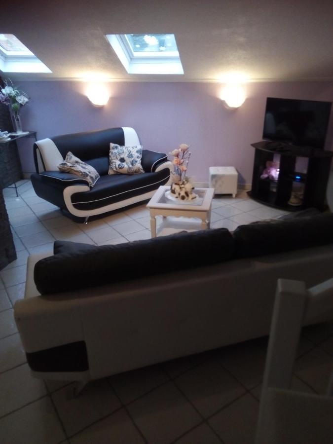 La Belle Endormie - Appartement A Fenetrange Dış mekan fotoğraf