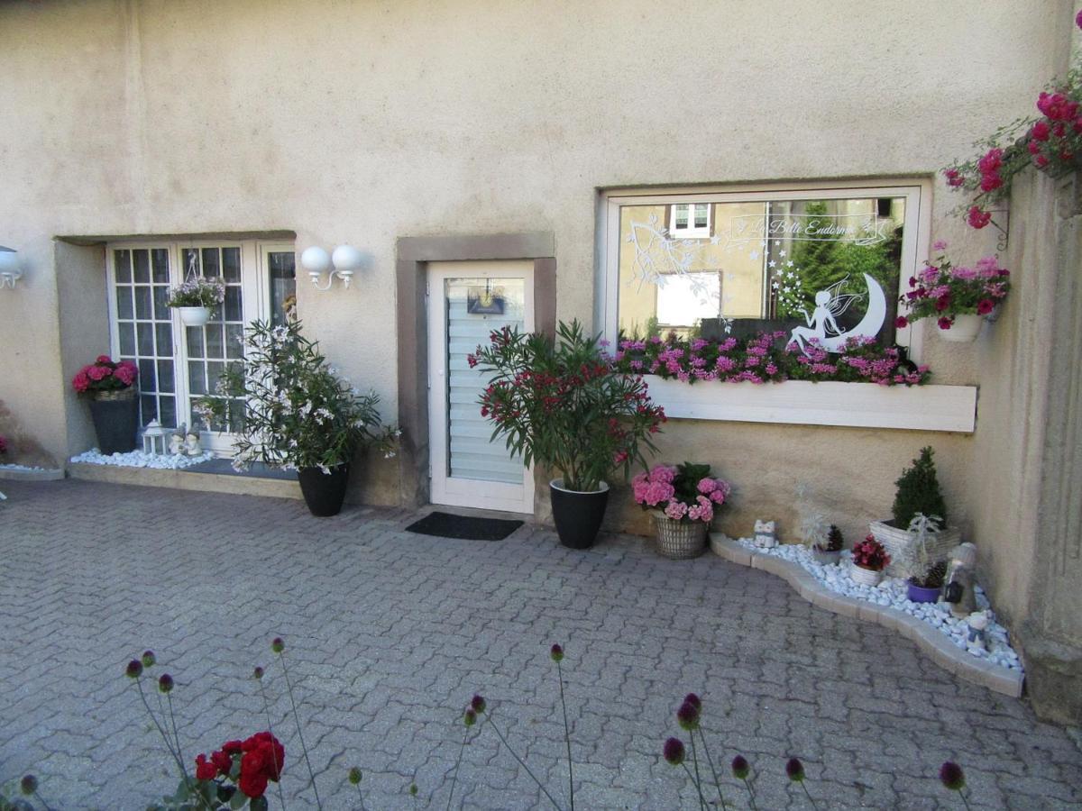 La Belle Endormie - Appartement A Fenetrange Dış mekan fotoğraf