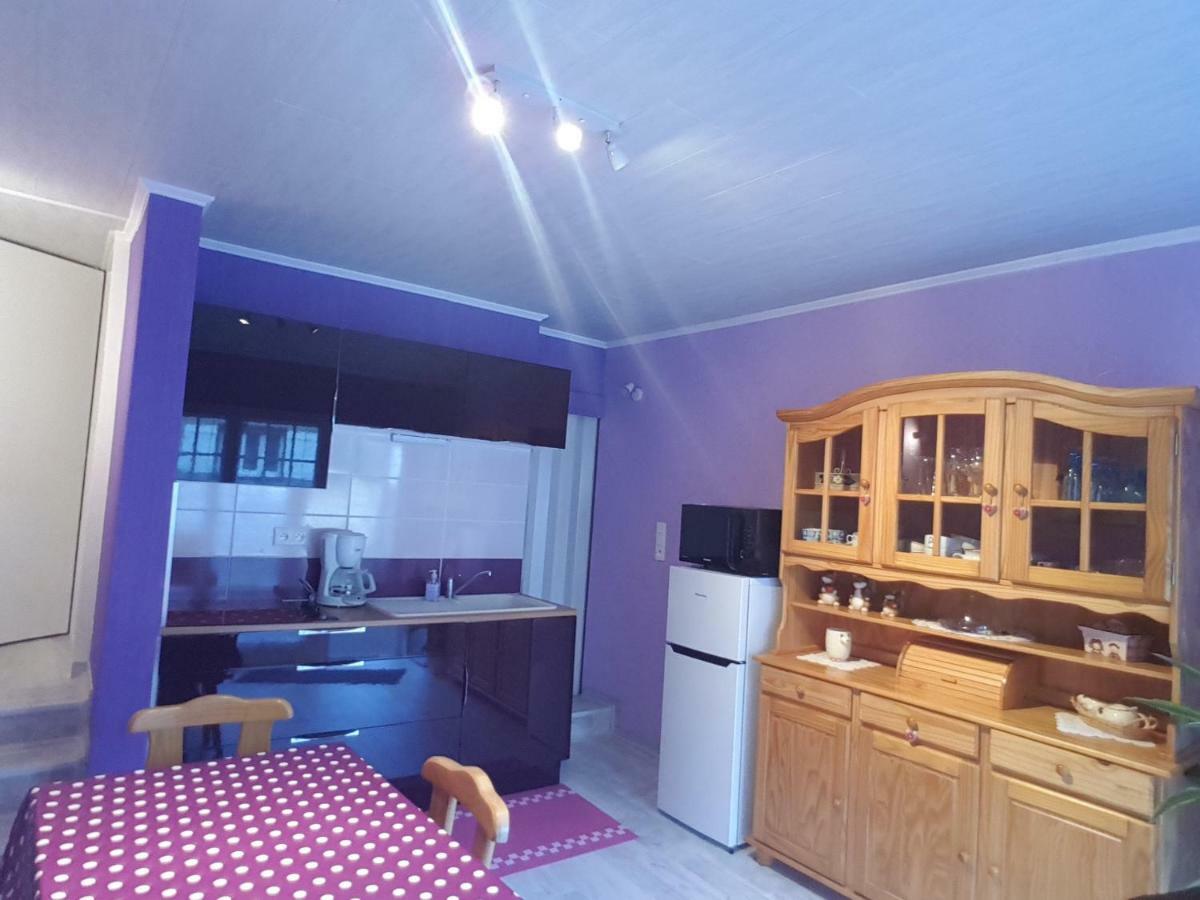 La Belle Endormie - Appartement A Fenetrange Dış mekan fotoğraf
