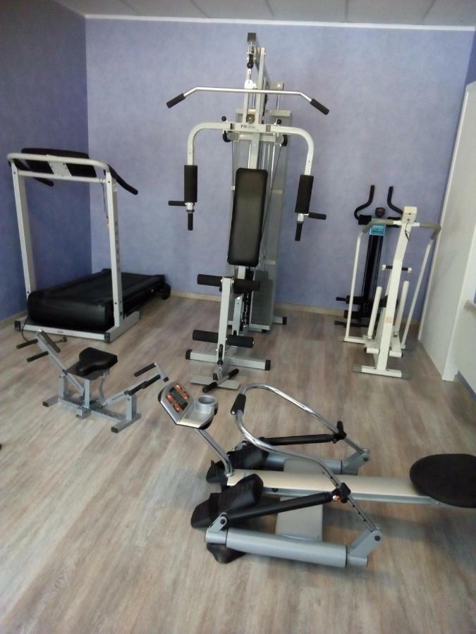 La Belle Endormie - Appartement A Fenetrange Dış mekan fotoğraf